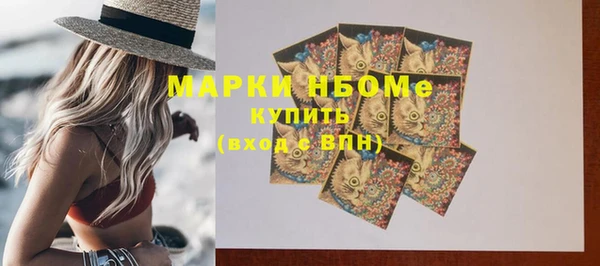 индика Белокуриха