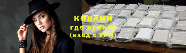 индика Белокуриха