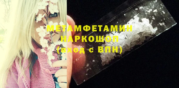индика Белокуриха