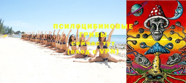 индика Белокуриха