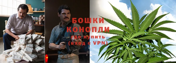 гидропоника Белоозёрский
