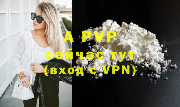 индика Белокуриха